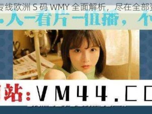 欧亚专线欧洲 S 码 WMY 全面解析，尽在全部资讯中