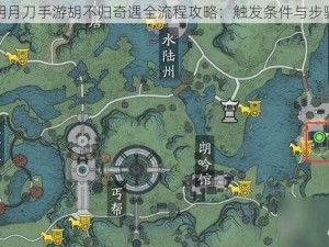 天涯明月刀手游胡不归奇遇全流程攻略：触发条件与步骤解析