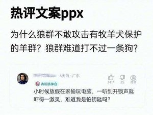 狼群社区视频在线观看播放是否合法？