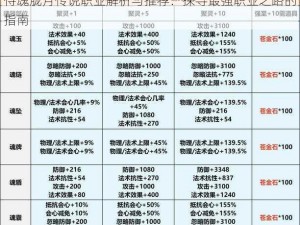 侍魂胧月传说职业解析与推荐：探寻最强职业之路的指南