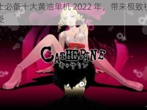 绅士必备十大黄油单机 2022 年，带来极致视觉享受