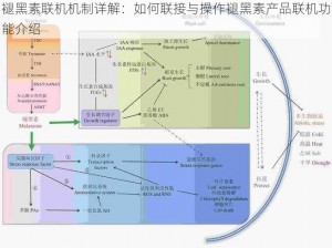 褪黑素联机机制详解：如何联接与操作褪黑素产品联机功能介绍