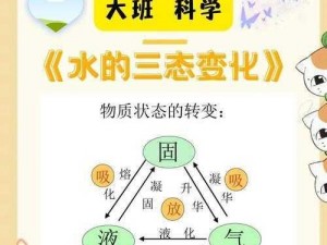 揭秘水排序：融合同色液体的速度与策略奥秘