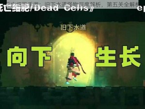 死亡细胞手游：旧下水道怪物深度解析，第五关全解析