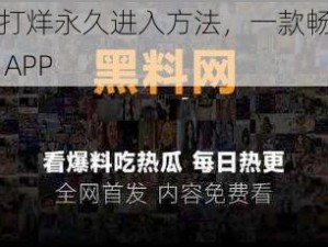 黑料不打烊永久进入方法，一款畅享优质资源的 APP