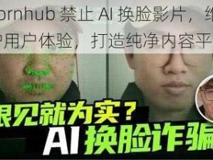 Pornhub 禁止 AI 换脸影片，维护用户体验，打造纯净内容平台