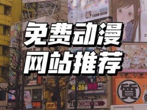 国外 b 站不收费 2024高清流畅无广告，畅享二次元世界