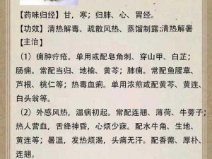 父爱难消金银花，清热消暑就选它