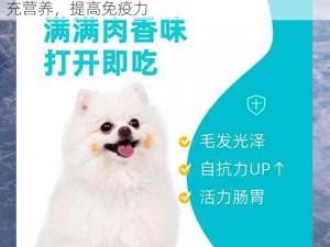 让自己家的金毛狗狗入了这款宠物营养膏，补充营养，提高免疫力