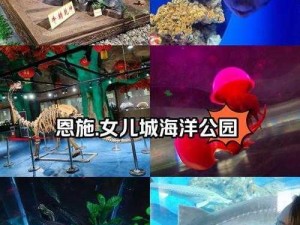 甜甜萌物语第154话：海洋公园梦幻搭配风格揭秘：萌趣与海洋元素的完美融合