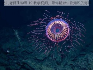 闵儿老师生物课 19 教学视频，带你畅游生物知识的海洋