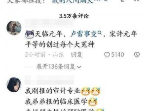 宋许元年梗探秘：揭秘背后的故事与起源介绍