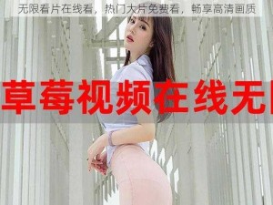 无限看片在线看，热门大片免费看，畅享高清画质