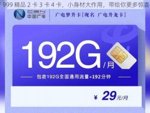 国产 999 精品 2 卡 3 卡 4 卡，小身材大作用，带给你更多惊喜体验