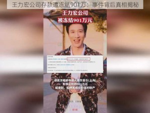 王力宏公司存款遭冻结901万：事件背后真相揭秘