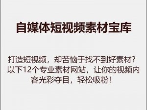 如何在短视频网站上制作和分享精彩视频？