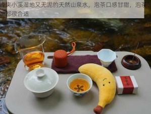 两峰夹小溪湿地又无泥的天然山泉水，泡茶口感甘甜，泡茶、冲咖啡都很合适