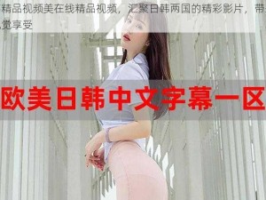 日韩精品视频美在线精品视频，汇聚日韩两国的精彩影片，带来极致视觉享受