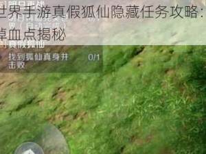 完美世界手游真假狐仙隐藏任务攻略：高效失血掉血点揭秘