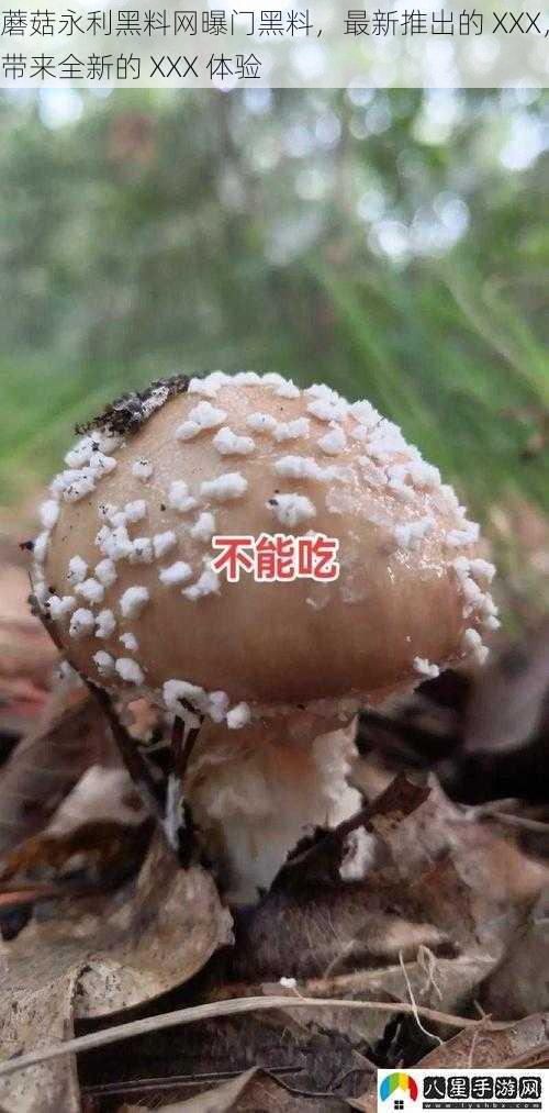 蘑菇永利黑料网曝门黑料，最新推出的 XXX，带来全新的 XXX 体验