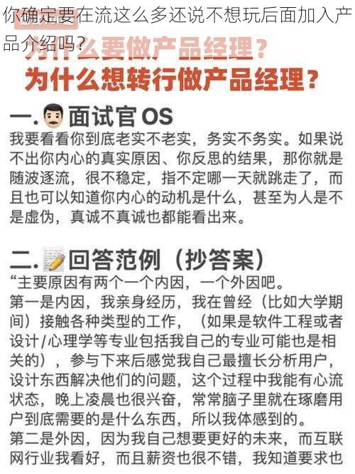 你确定要在流这么多还说不想玩后面加入产品介绍吗？