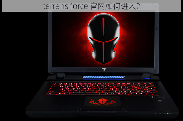 terrans force 官网如何进入？