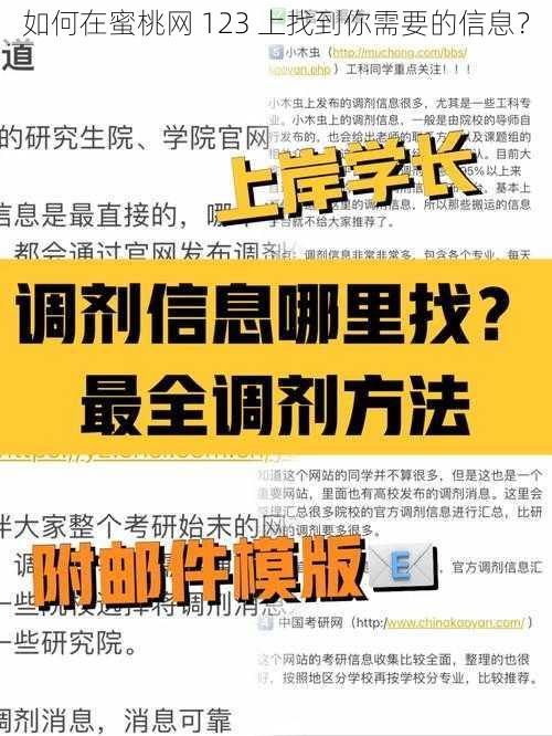 如何在蜜桃网 123 上找到你需要的信息？