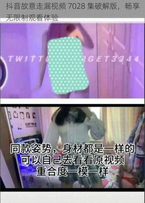 抖音故意走漏视频 7028 集破解版，畅享无限制观看体验