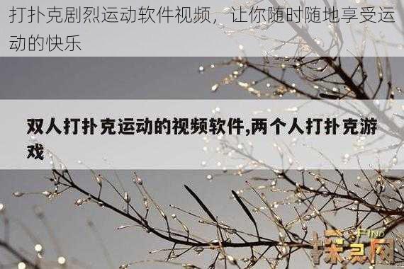 打扑克剧烈运动软件视频，让你随时随地享受运动的快乐