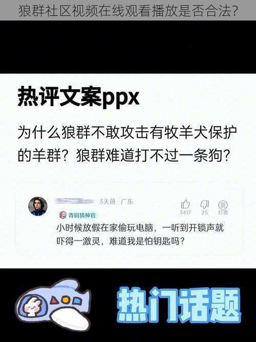 狼群社区视频在线观看播放是否合法？