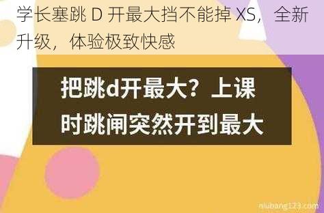 学长塞跳 D 开最大挡不能掉 XS，全新升级，体验极致快感