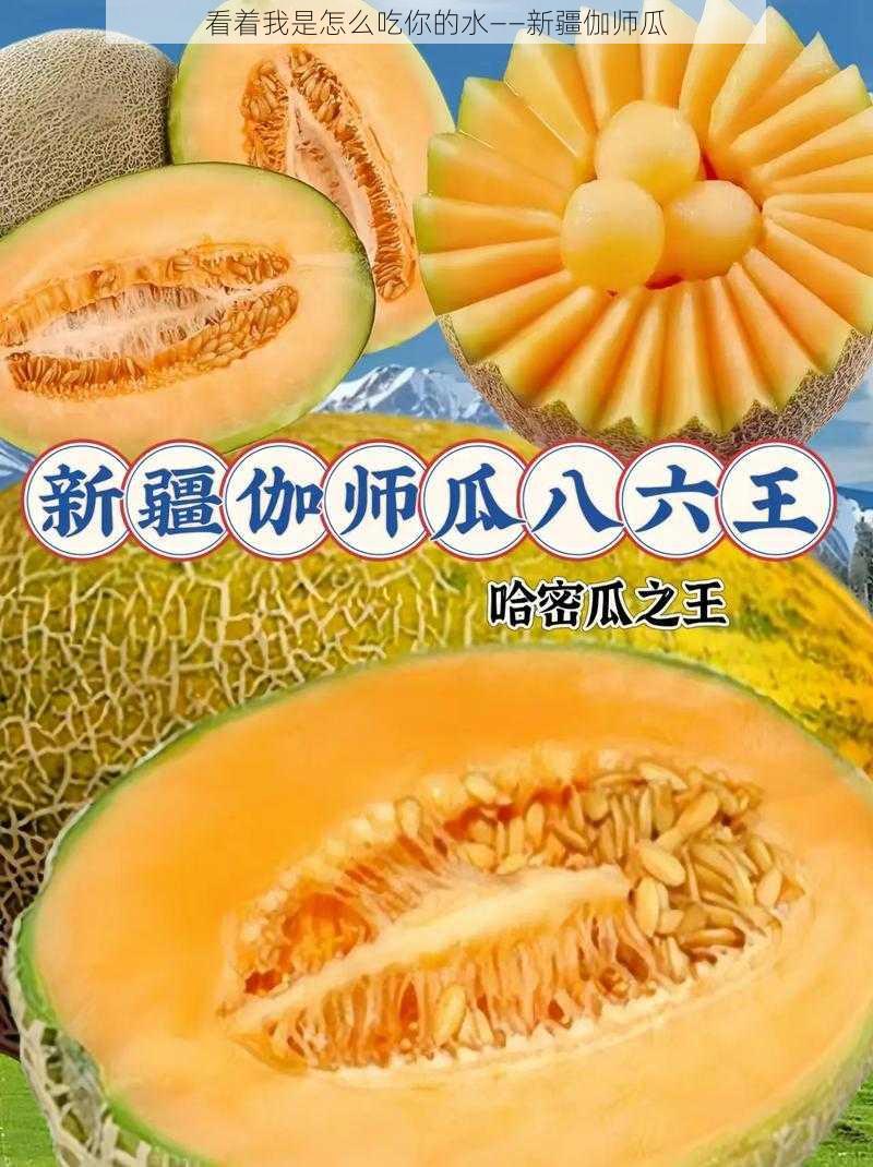 看着我是怎么吃你的水——新疆伽师瓜