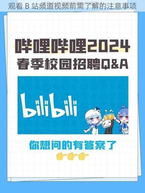 观看 B 站频道视频前需了解的注意事项