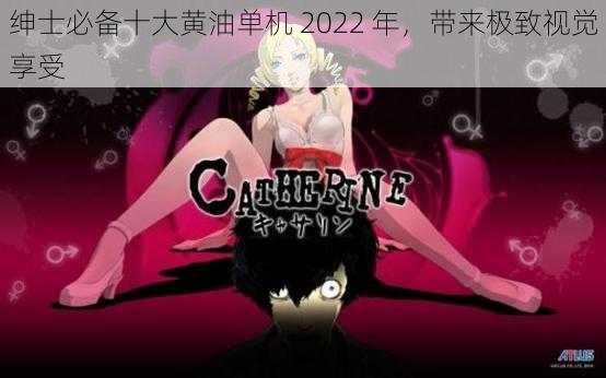 绅士必备十大黄油单机 2022 年，带来极致视觉享受