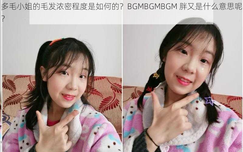 多毛小姐的毛发浓密程度是如何的？BGMBGMBGM 胖又是什么意思呢？