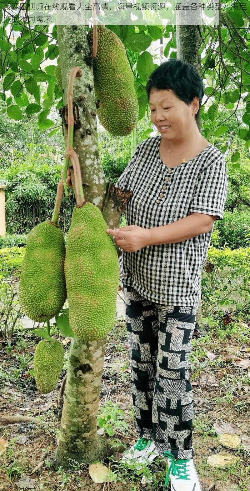 菠萝蜜视频在线观看大全高清，海量视频资源，涵盖各种类型，满足你的不同需求