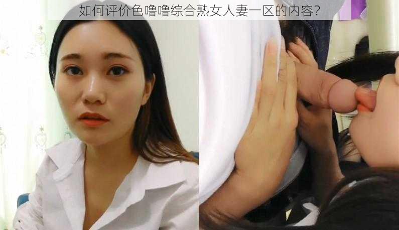 如何评价色噜噜综合熟女人妻一区的内容？