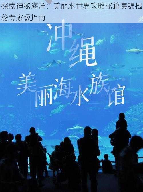 探索神秘海洋：美丽水世界攻略秘籍集锦揭秘专家级指南