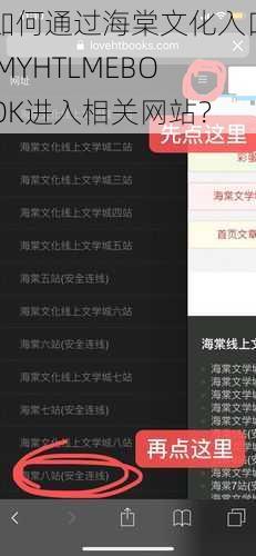 如何通过海棠文化入口 MYHTLMEBOOK进入相关网站？
