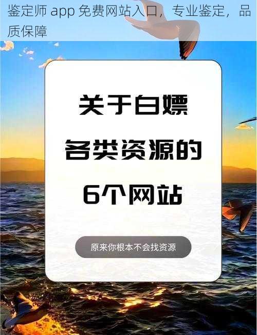 鉴定师 app 免费网站入口，专业鉴定，品质保障