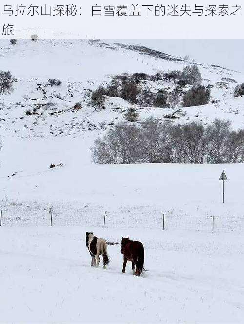 乌拉尔山探秘：白雪覆盖下的迷失与探索之旅