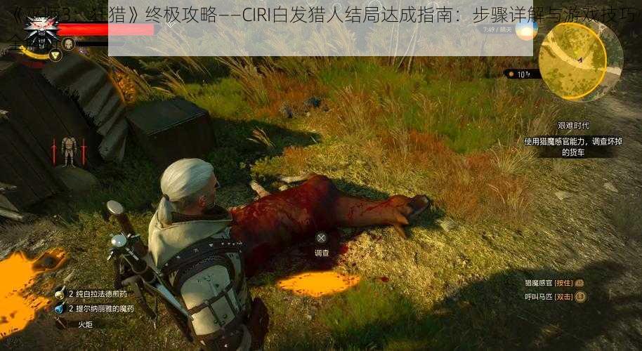 《巫师3：狂猎》终极攻略——CIRI白发猎人结局达成指南：步骤详解与游戏技巧全解析