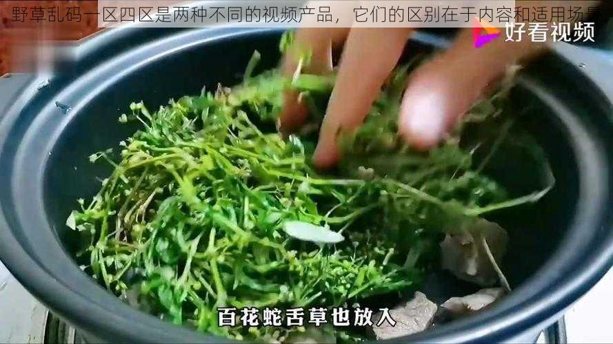 野草乱码一区四区是两种不同的视频产品，它们的区别在于内容和适用场景