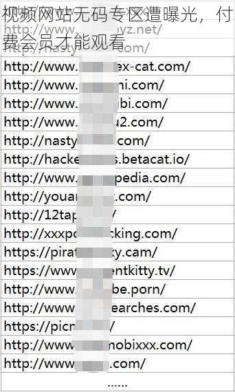 视频网站无码专区遭曝光，付费会员才能观看