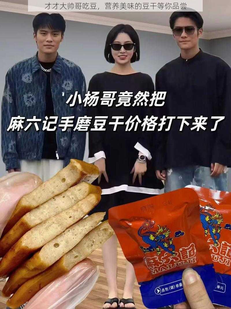 才才大帅哥吃豆，营养美味的豆干等你品尝