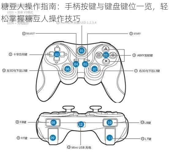 糖豆人操作指南：手柄按键与键盘键位一览，轻松掌握糖豆人操作技巧