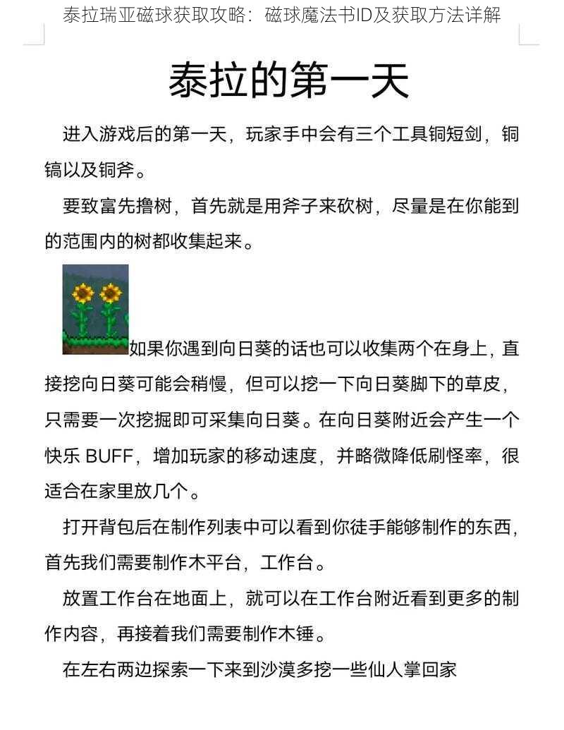 泰拉瑞亚磁球获取攻略：磁球魔法书ID及获取方法详解