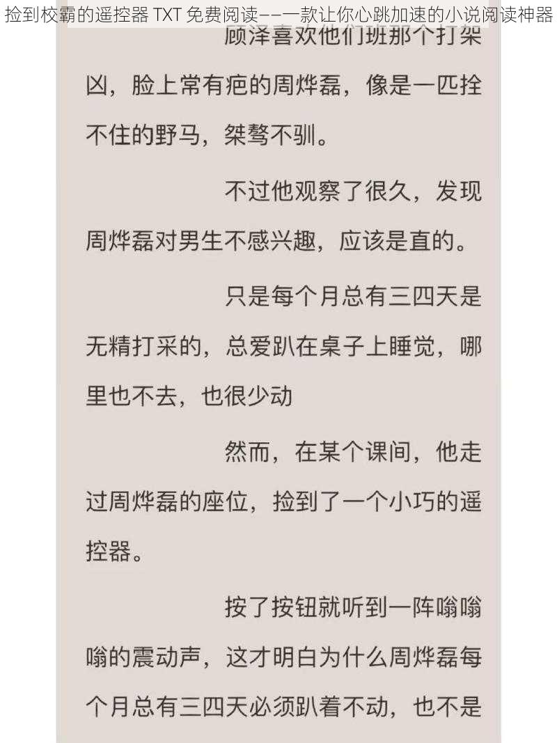 捡到校霸的遥控器 TXT 免费阅读——一款让你心跳加速的小说阅读神器