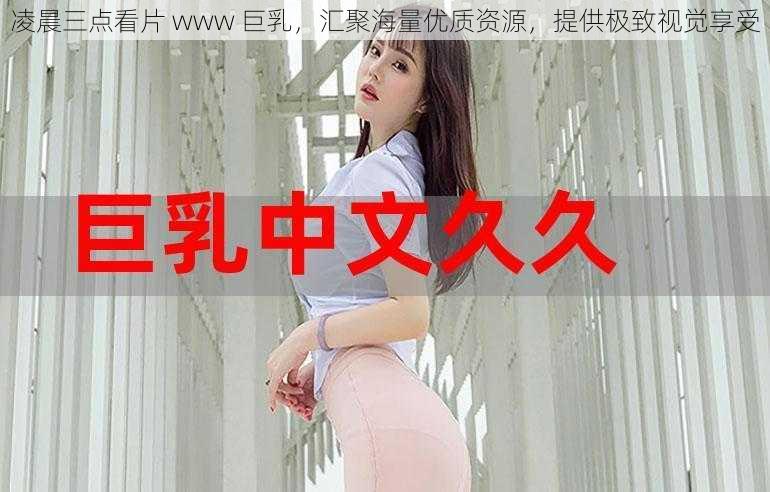 凌晨三点看片 www 巨乳，汇聚海量优质资源，提供极致视觉享受