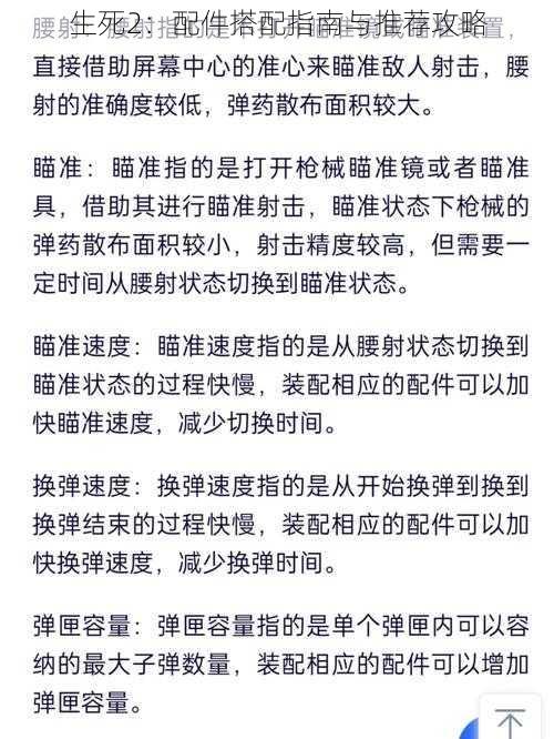 生死2：配件搭配指南与推荐攻略